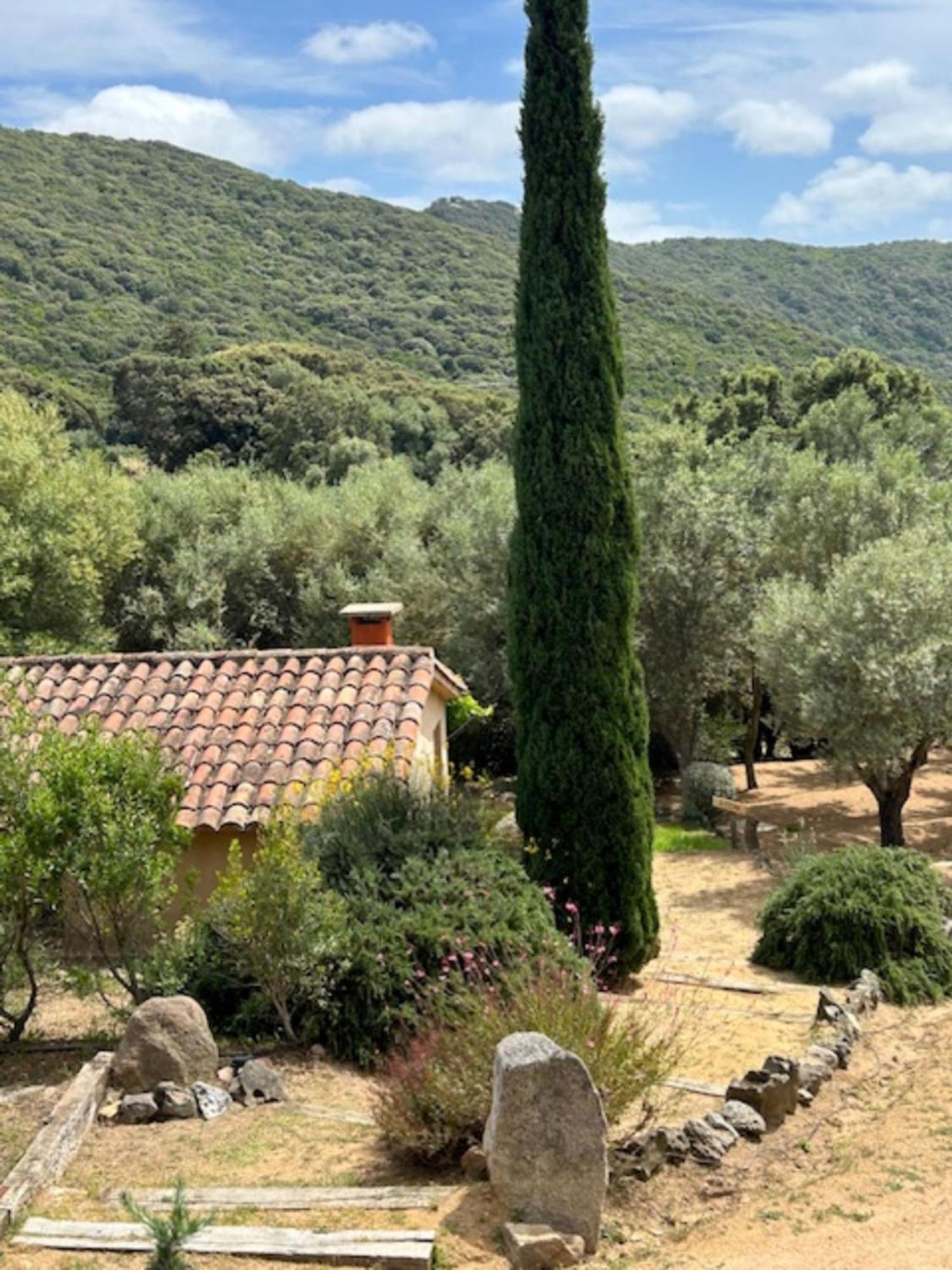 Auberge U Sirenu Sartene  Luaran gambar